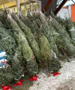 buy Christmas tree liquidation pallets France