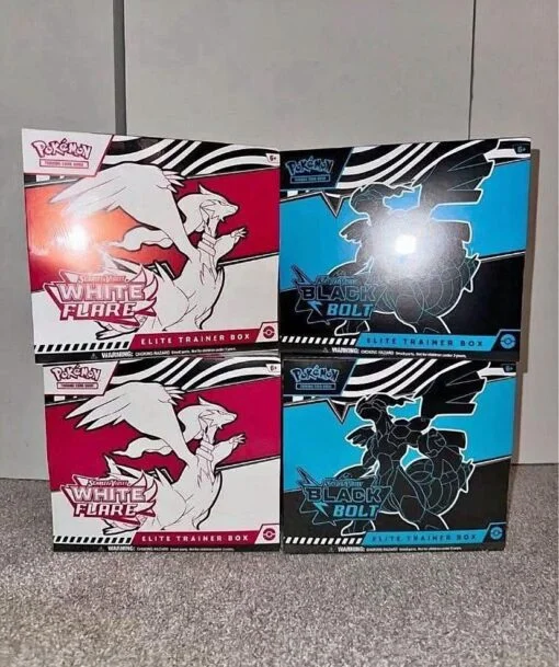 palette Pokémon grossiste Europe