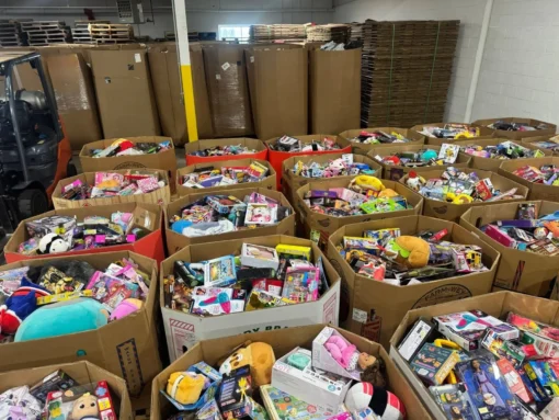 bulk toy liquidation pallets